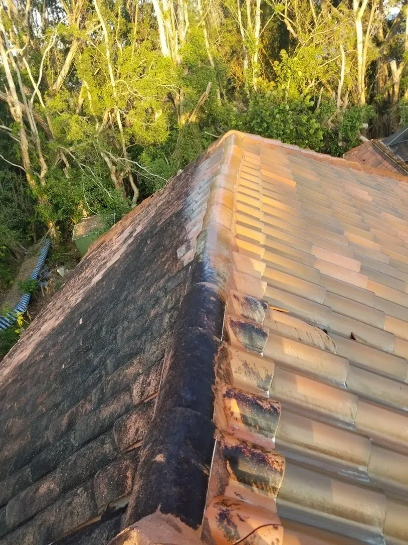 Amazing Home and Commercial Maintenance