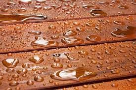 Close-up of water droplets on wooden surface
