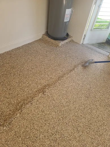 Carpet cleaning near home water heater
