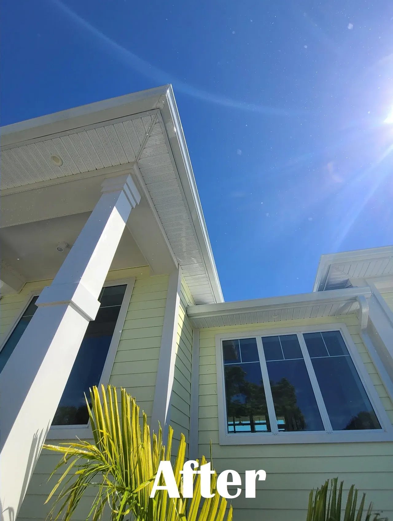 Sunlit yellow house exterior with palm fronds