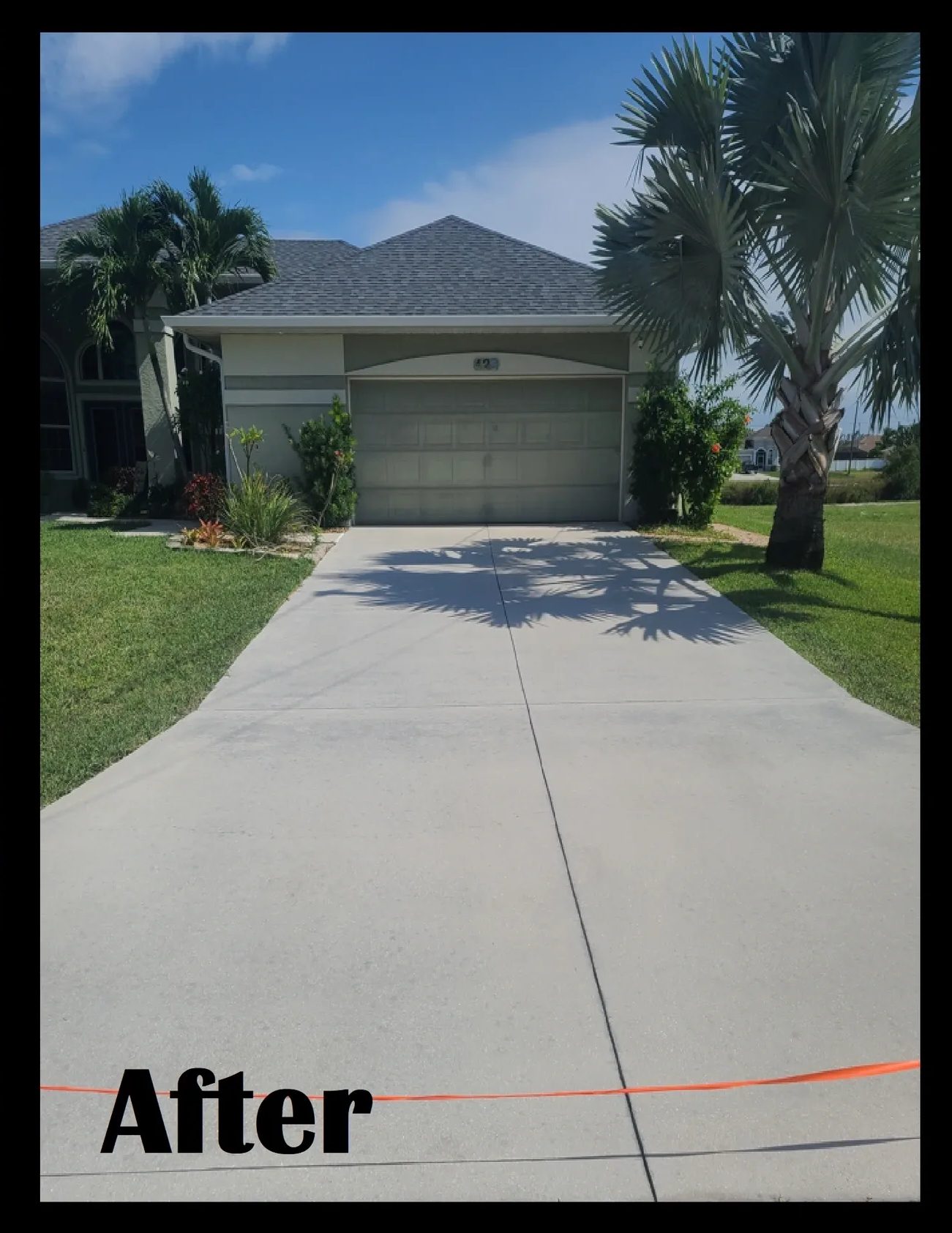 Clean concrete driveway to garage with palms