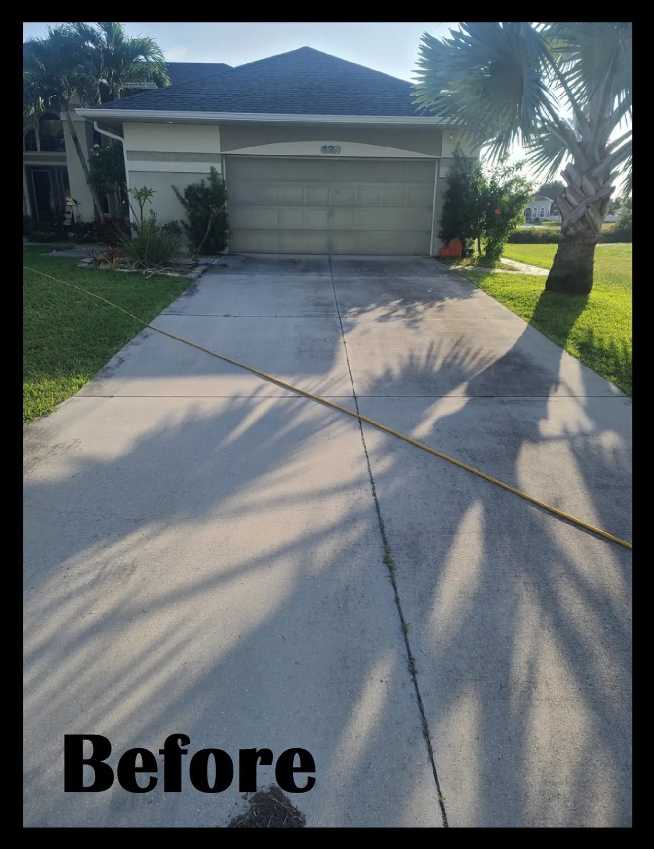 Concrete driveway with palm shadows and garage