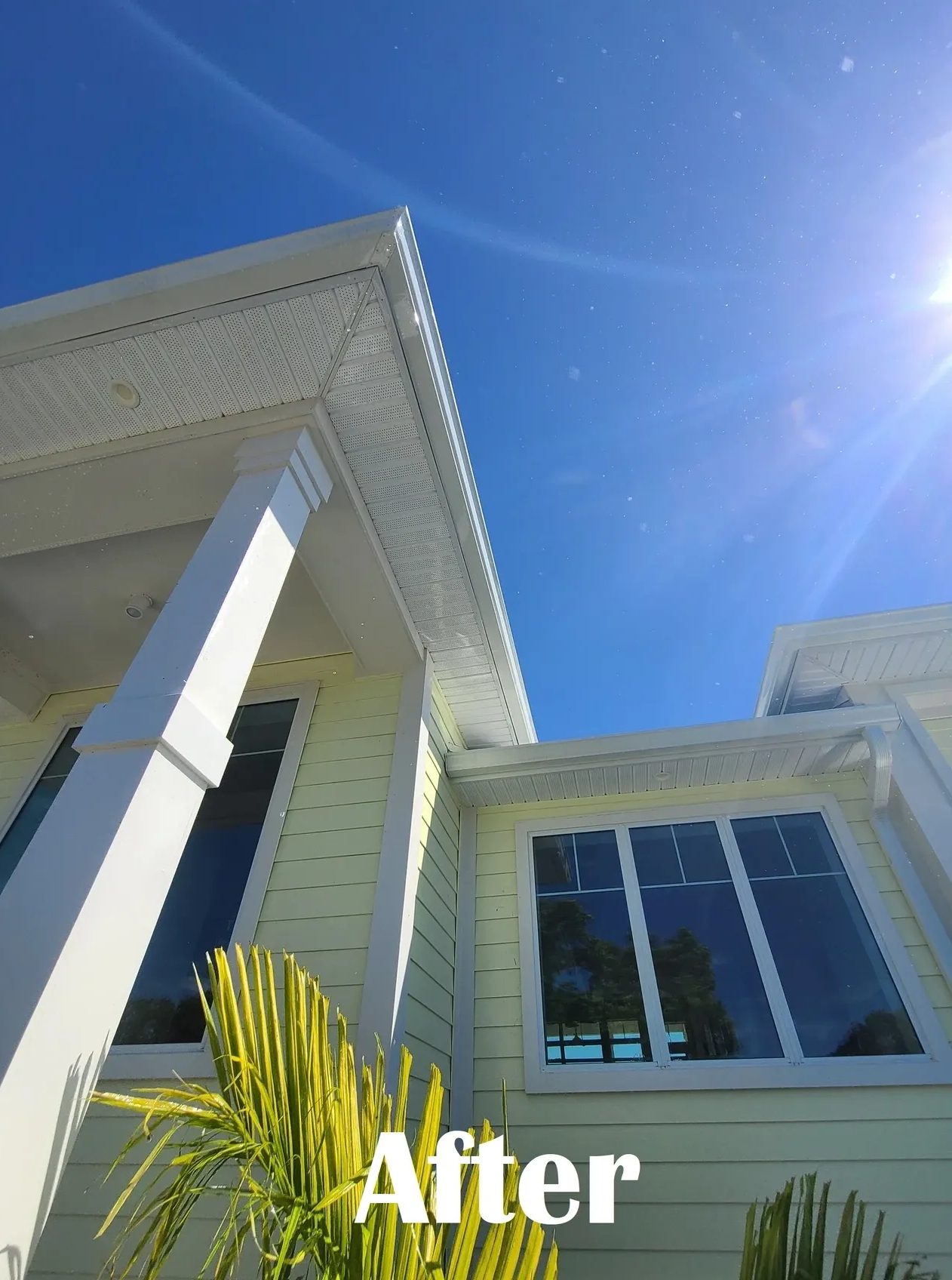 Yellow house exterior with palm and bright sun