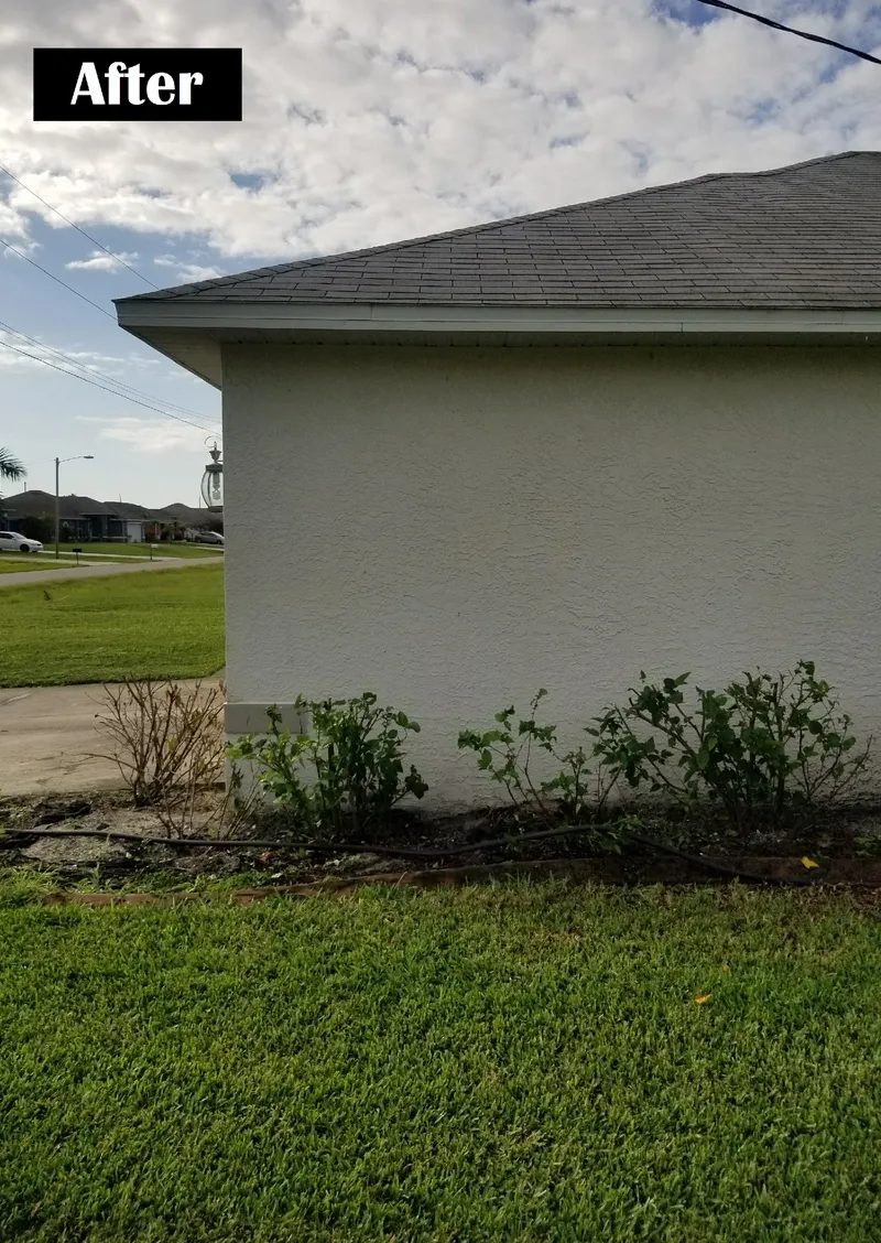 Cleaned stucco house side with trimmed shrubs