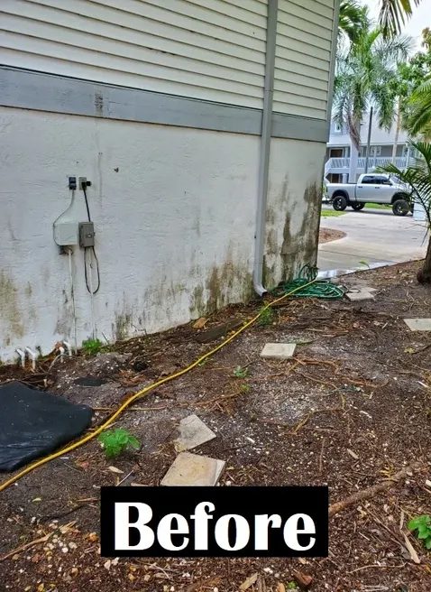 Mildewed house siding with hose and yard