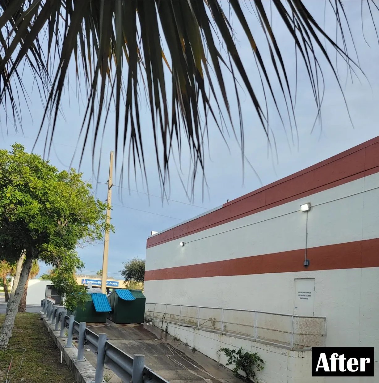 Dumpsters in commercial alley under palm fronds