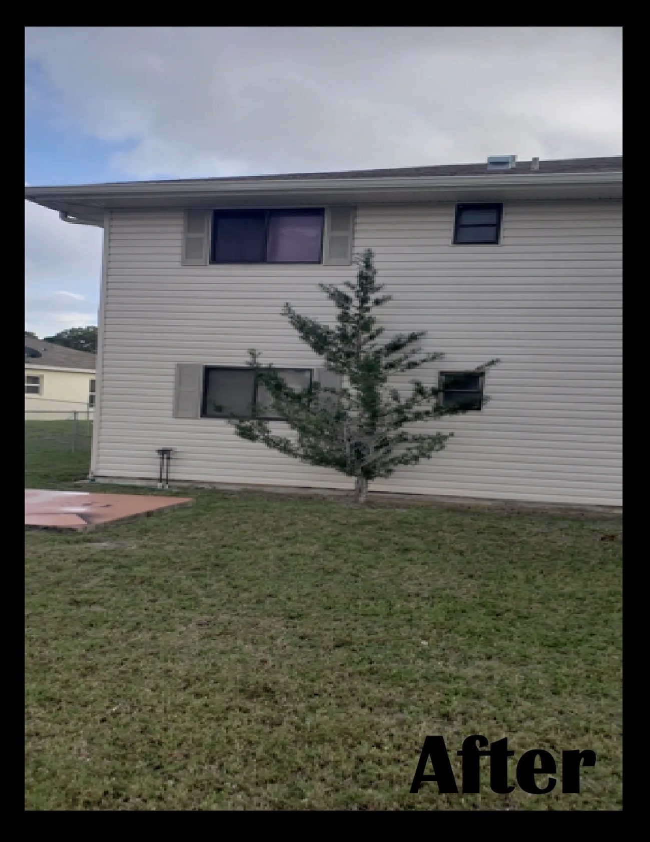 Small pine tree in front of beige house