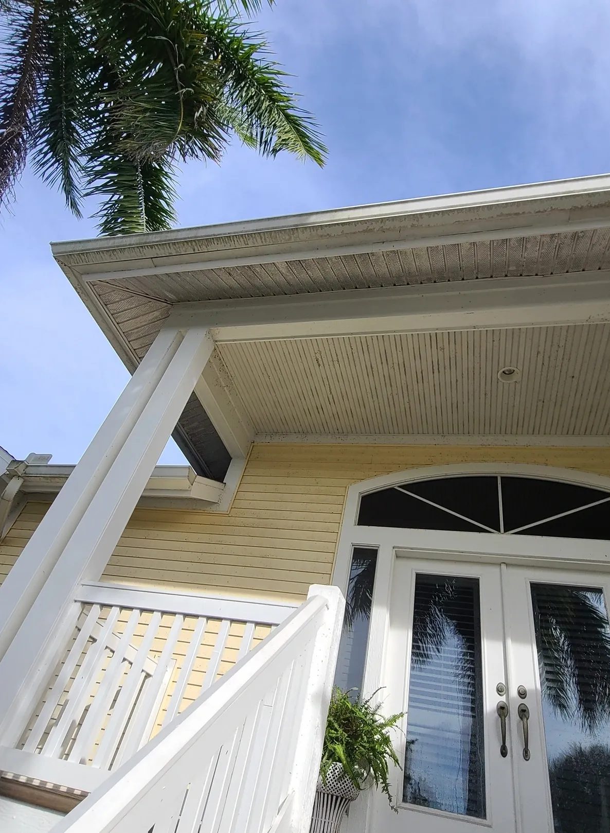 Yellow house front porch with palm tree