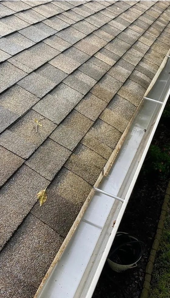 Asphalt shingle roof and white rain gutter