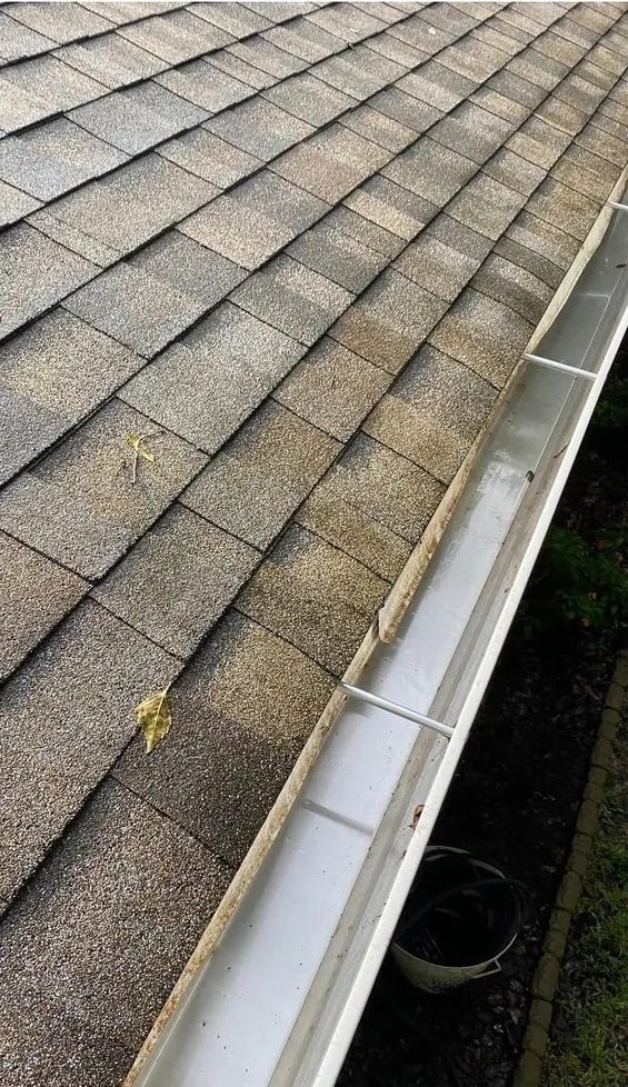 Asphalt shingle roof and white rain gutter