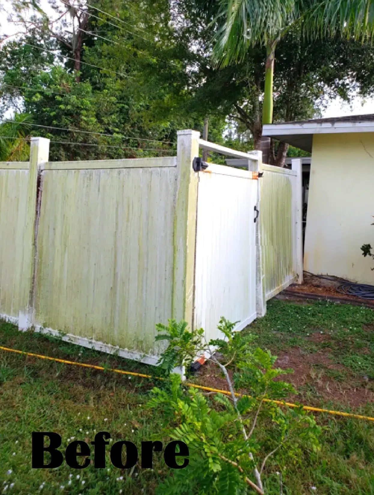 Mildewed white backyard fence gate before cleaning