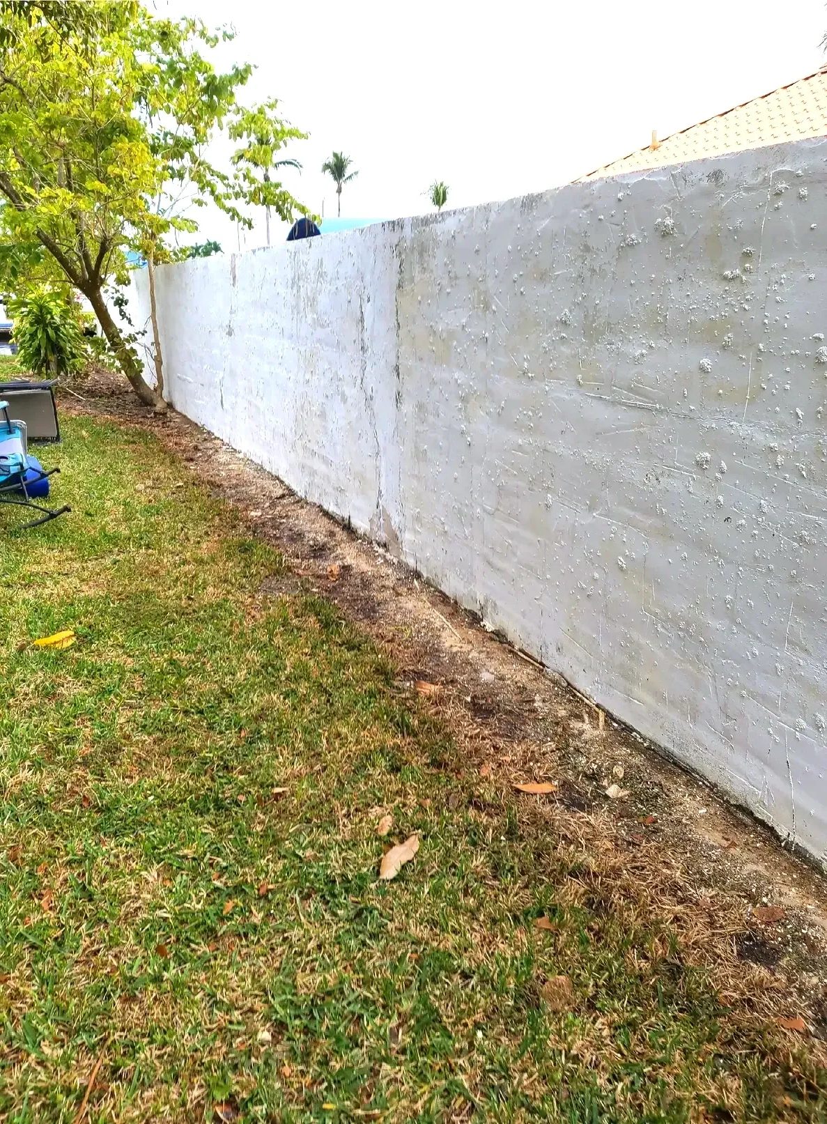 White stucco backyard wall with lawn