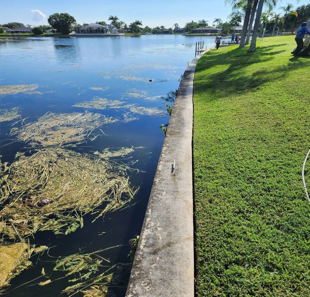 Residential canal seawall with grassy bank
