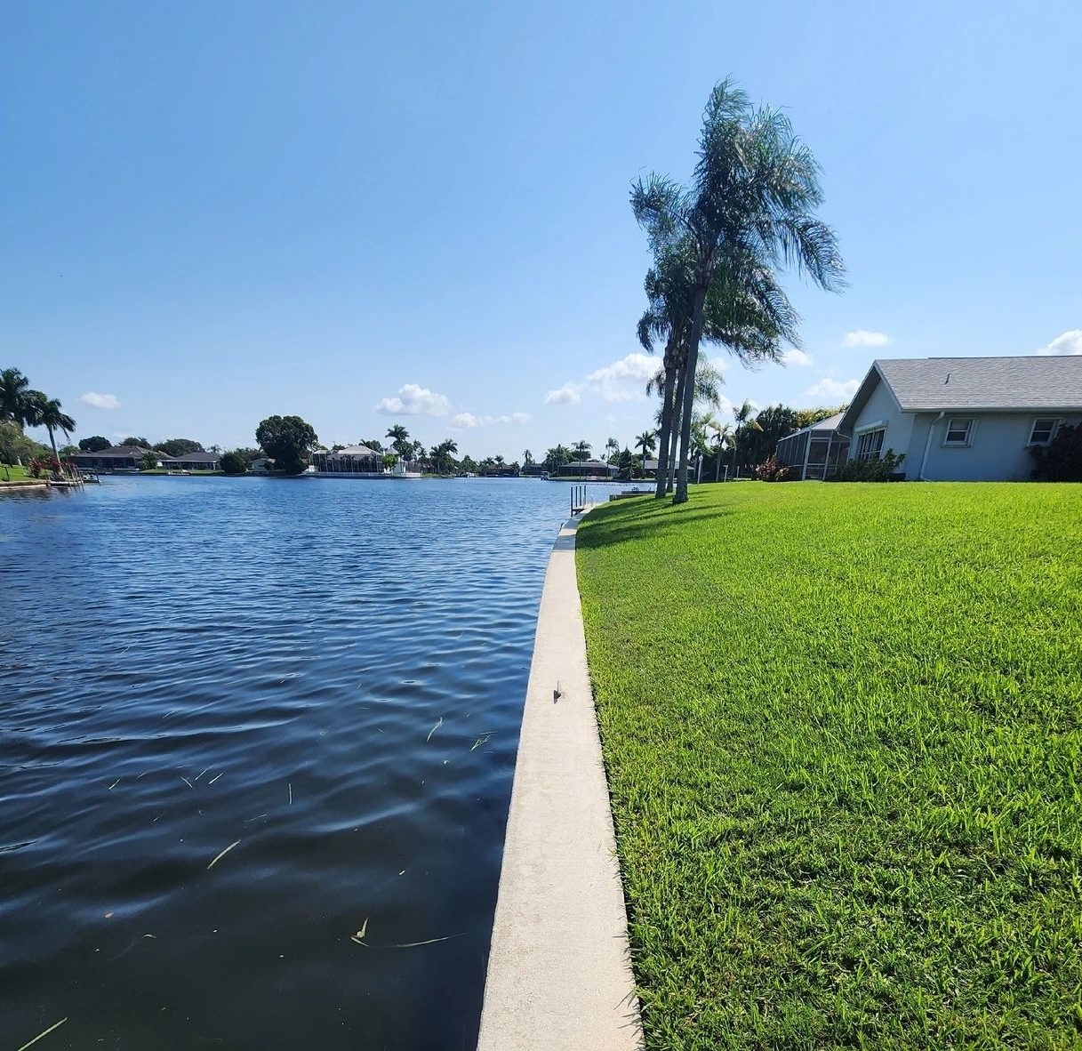 Waterfront lawn and palm trees by canal