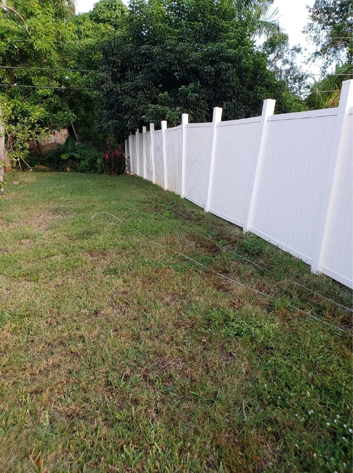 White vinyl privacy fence along green lawn