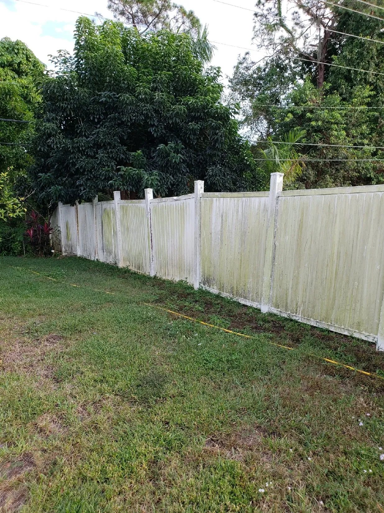 White privacy fence along grassy backyard