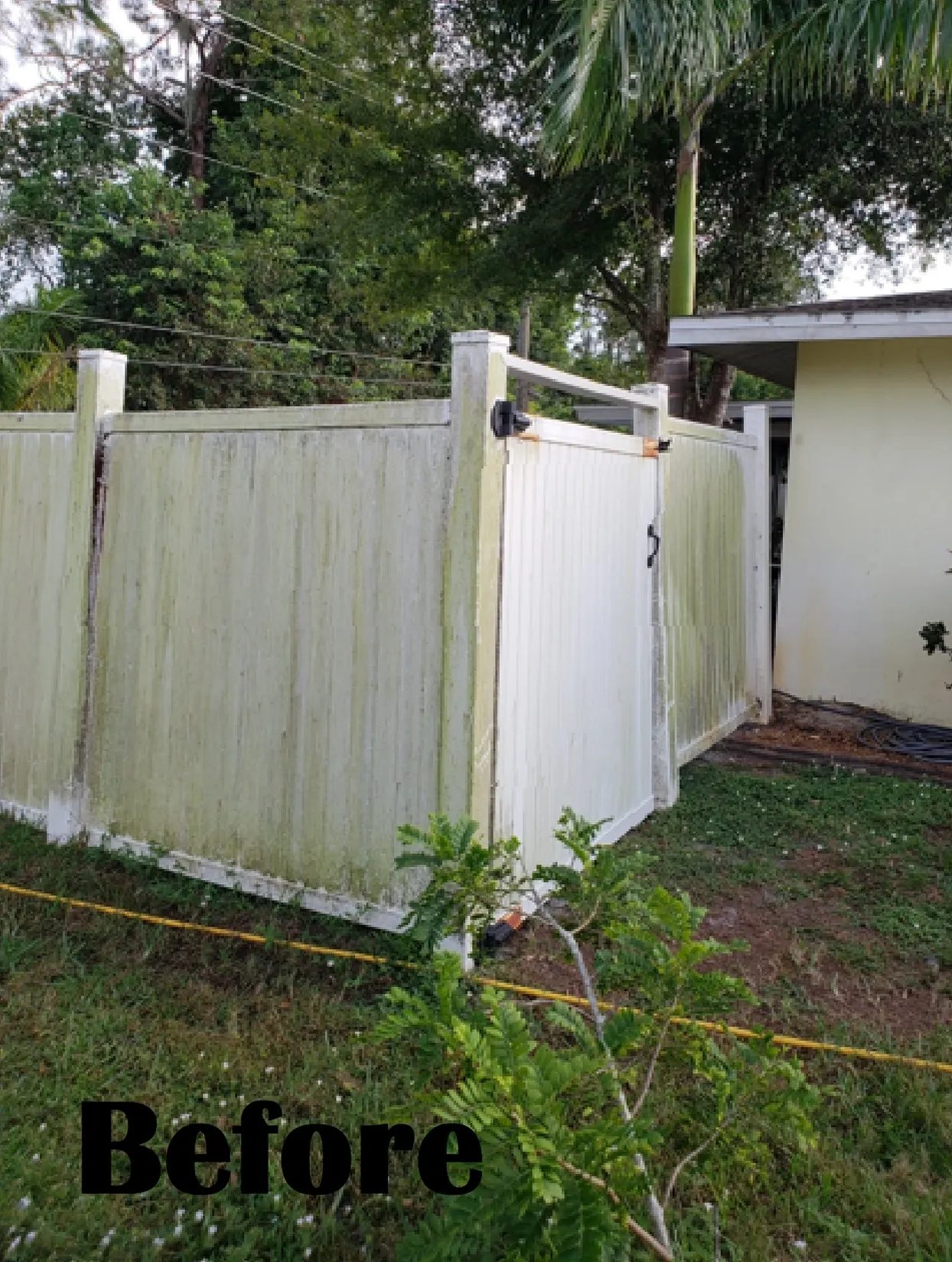 Dirty white backyard fence and gate before cleaning