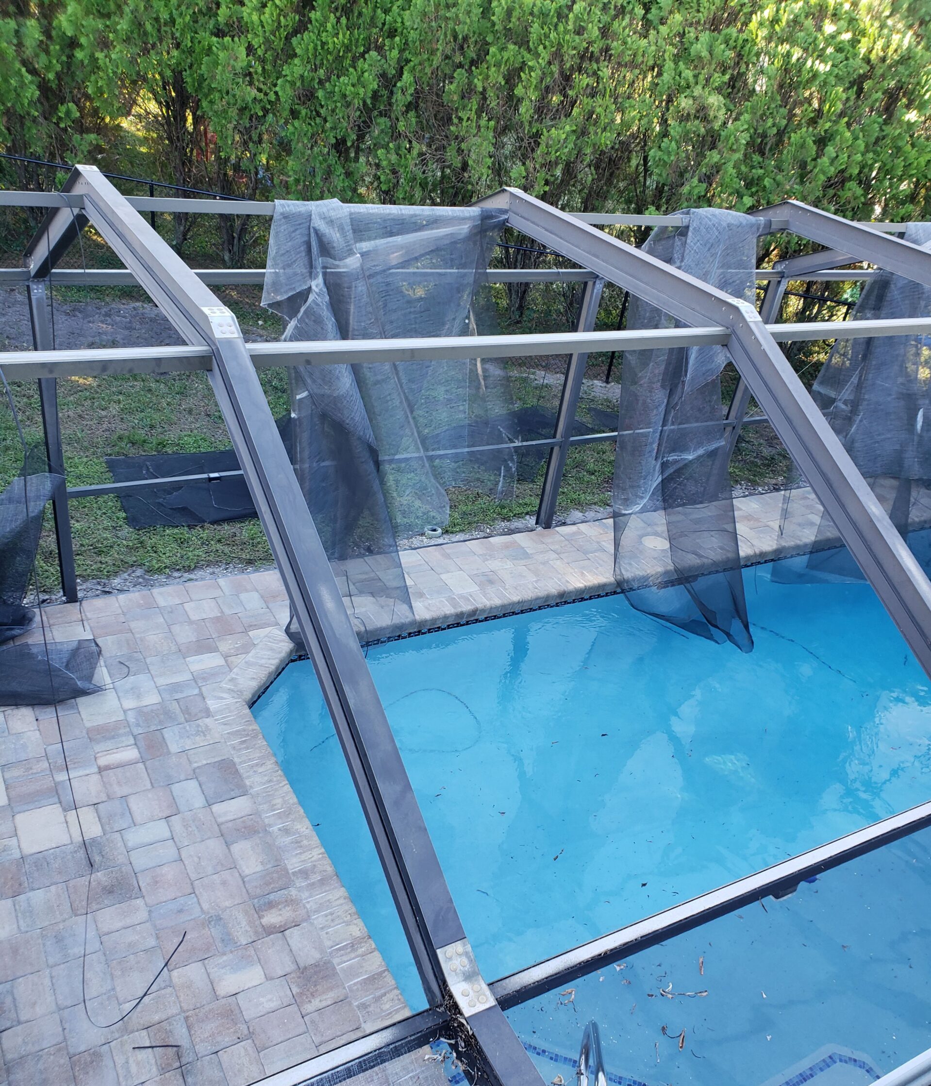 In-ground pool with torn screened enclosure