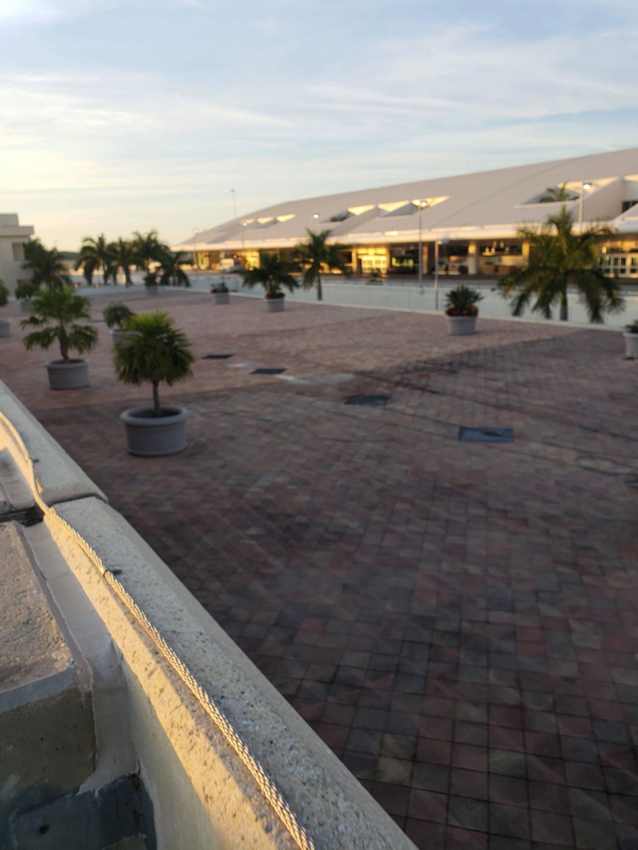 Empty sunlit plaza with potted palm trees