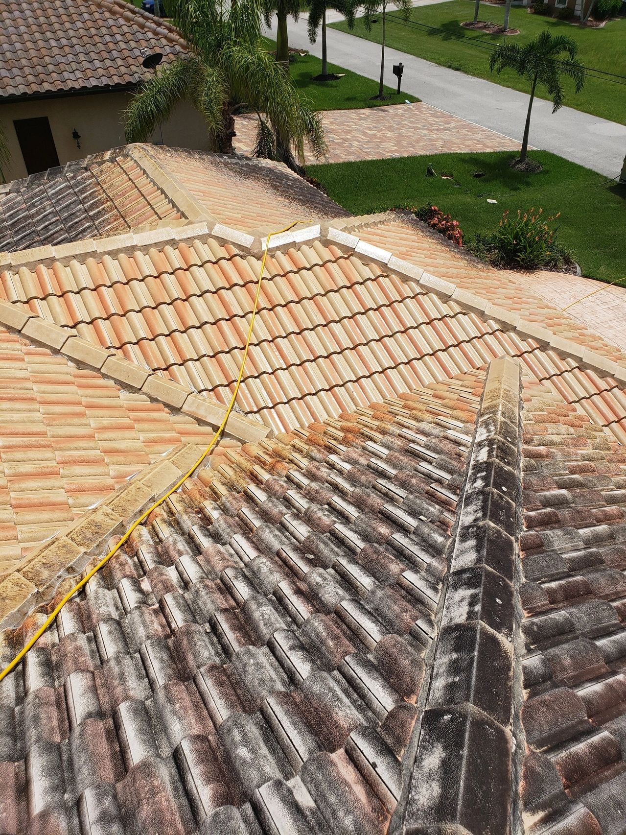 Partially cleaned terracotta tile roof with palm trees