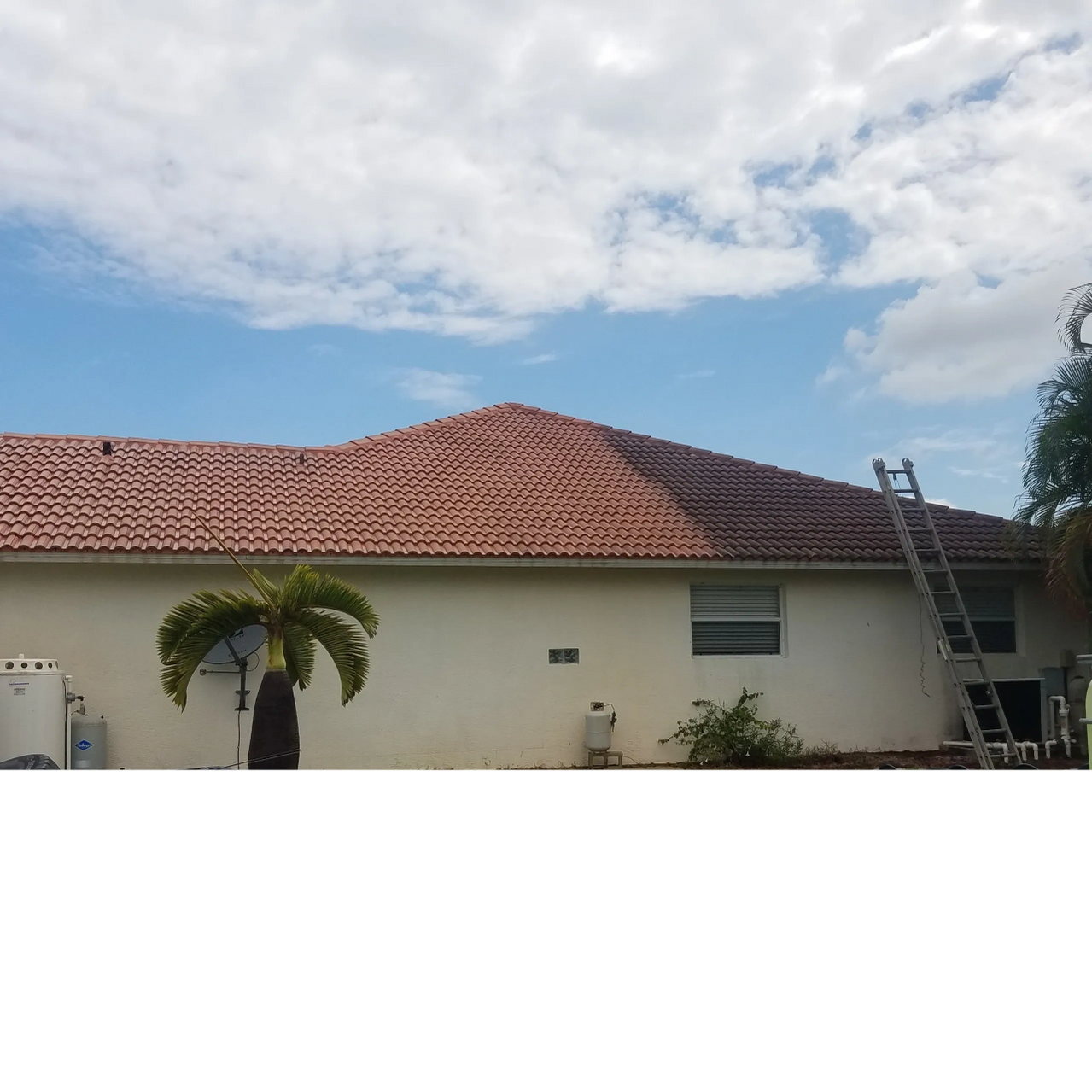 House with red tiled roof, ladder, palm