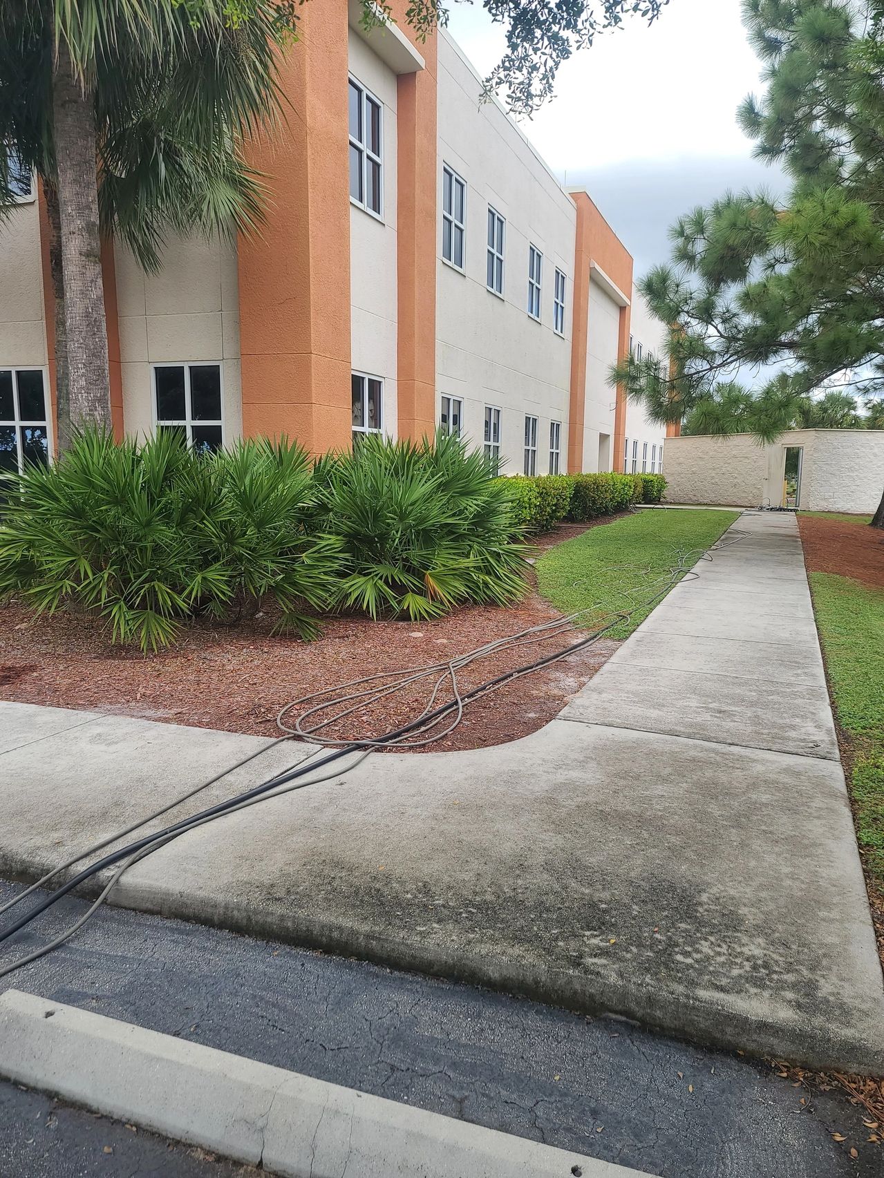 Office building exterior with sidewalk and landscaping