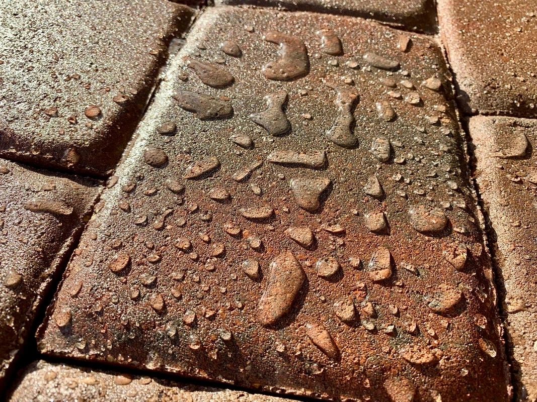 Close-up wet brick pavers with water droplets