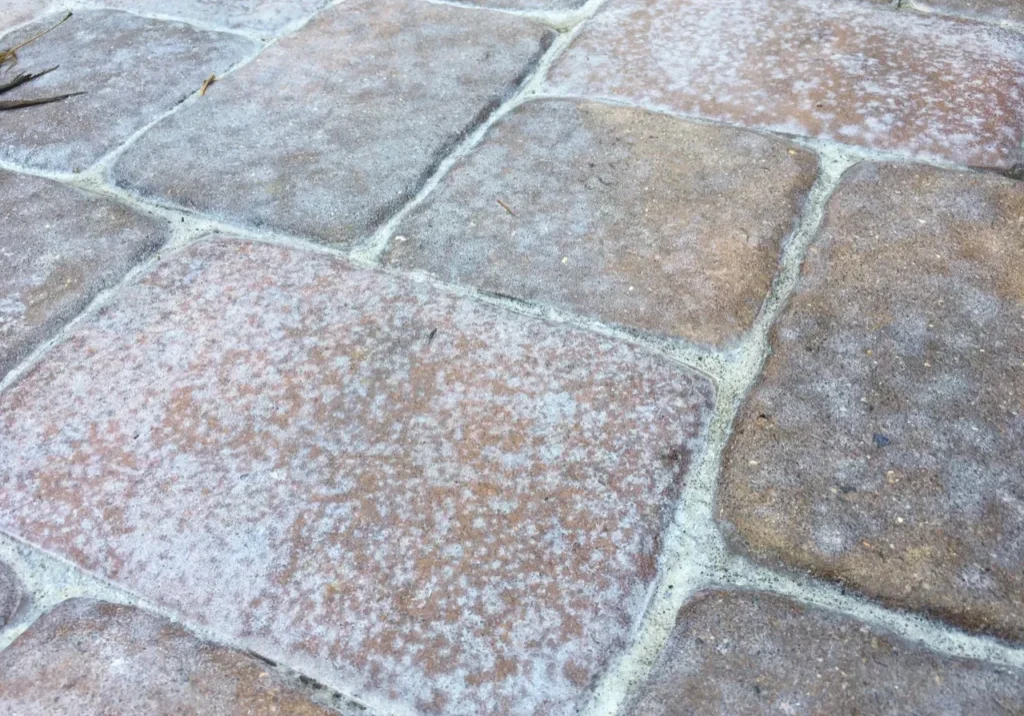 Close-up of weathered square stone pavers